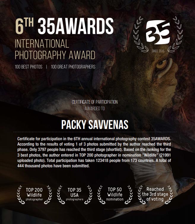 35 Awards 6th Packy Savvenas